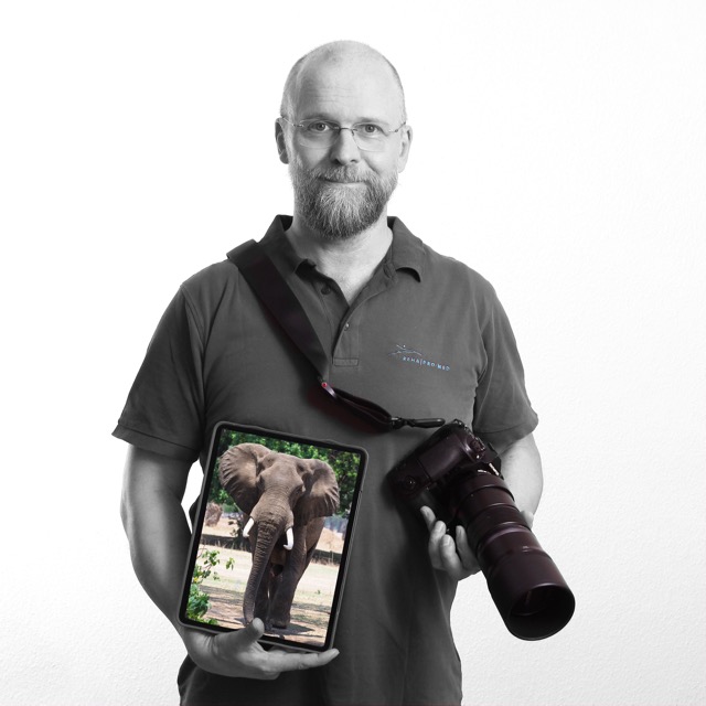 Porträt von Michael